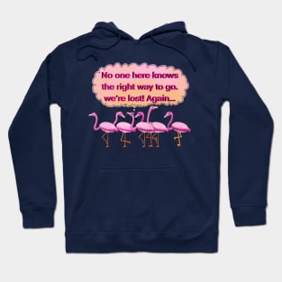 Wondering pink lost flamingos Hoodie